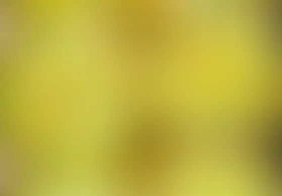 Matcha-Wirbel mit veganem Frischkäse-Frosting, Matcha-Creme und Matcha-Sirup