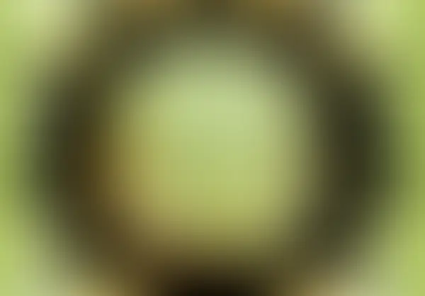 Matcha-Wirbel mit veganem Frischkäse-Frosting, Matcha-Creme und Matcha-Sirup