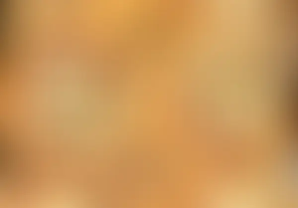 Schoko-Orange-Wirbel – mit Zimtfüllung, veganem Frischkäse-Frosting, Orangen-Creme, veganer Schokolade und Orangendeko